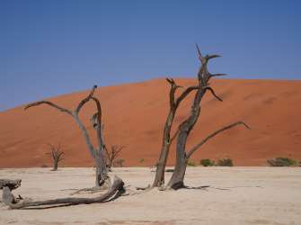 Sossusvlei / Deadvlei