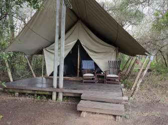 Übernachtungszelt im Rhino Plains Camp auf einer hölzernen Plattform mitten in einer bewaldeten Naturlandschaft.