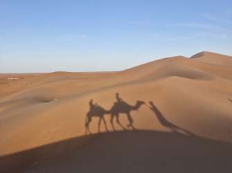 Schattenspiel eines Dromedar-Ausflugs in der marokkanischen Chigaga-Wüste bei tiefem Sonnenstand über Sanddünen.