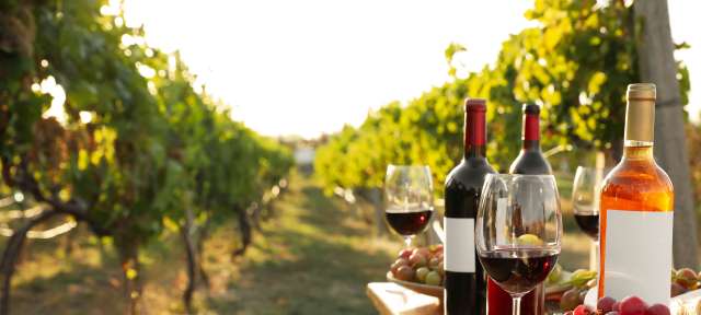 Weinflaschen und Gläser auf einem Tisch in einem Weinberg