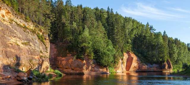 Ein Fluss, der durch einen Wald fließt