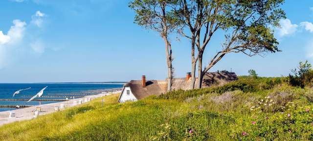 Hiddensee Ein Haus mit Strohdach sitzt auf einem Hügel mit Blick auf das Meer