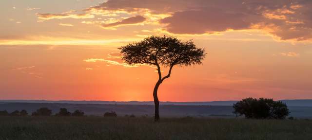 Sonnenuntergang: Tansania