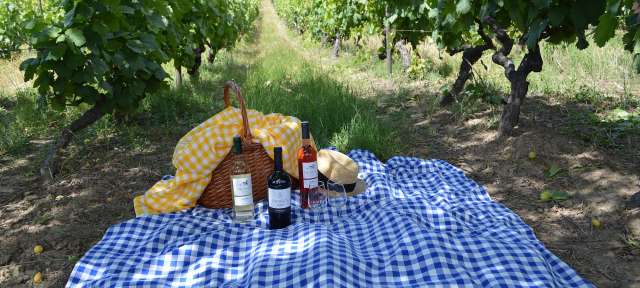Ein Picknickdecke mit drei Flaschen Wein und einem Korb