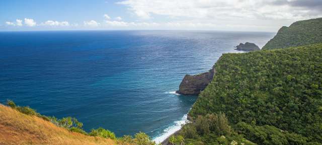 Sattes Grün: Big Island von Hawaii Ein Blick auf den Ozean von einer Klippe
