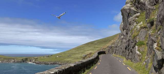 Eine Möwe fliegt über eine Straße in der Nähe des Ozeans