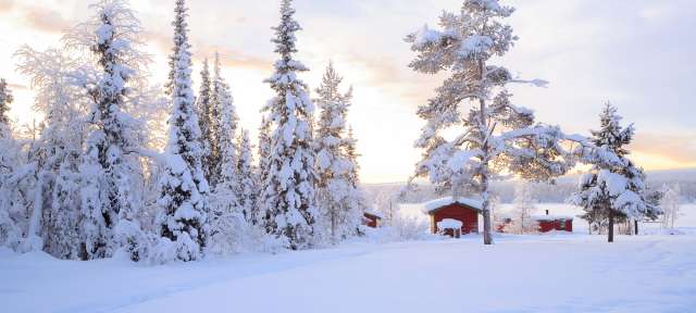 Ein schneebedeckter Wald mit einem roten Haus im Vordergrund
