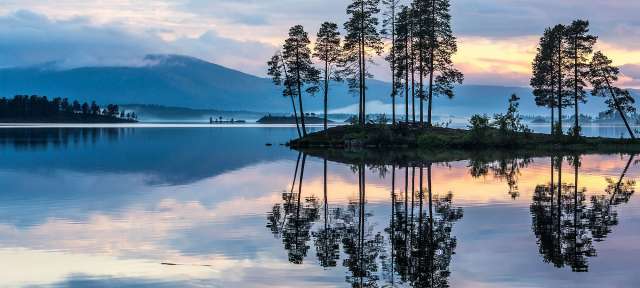 Eine Gruppe von Bäumen auf einer kleinen Insel in einem See