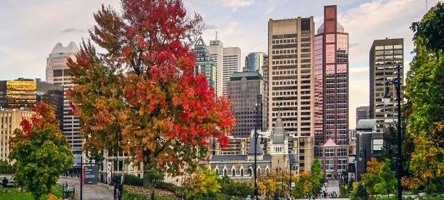 Am Sankt-Lorenz-Strom: Montréal Eine Stadtstraße mit Bäumen und Gebäuden im Hintergrund