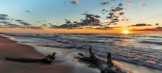 Treibholz liegt am Strand bei Sonnenuntergang