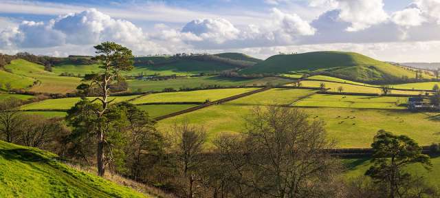 Ein Blick auf eine grüne Landschaft mit Hügeln im Hintergrund