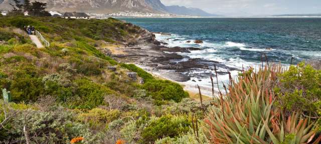 1000 Kilometer Küste: Eastern Cape Eine Gruppe von Menschen geht auf einem Weg entlang einer Klippe mit Blick auf das Meer