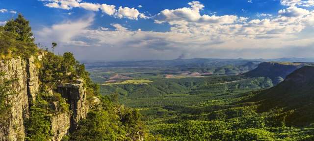 Zwischen Hochland und Tiefland: Drakensberge von Mpumalanga Eine schöne Landschaft mit Bergen und Wäldern an einem sonnigen Tag
