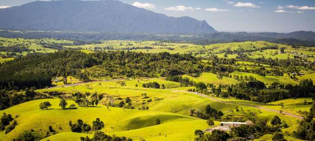 Landschaftliche Vielfalt: Atherton Tablelands in Queensland Eine Straße führt durch eine grüne Landschaft mit Bergen im Hintergrund