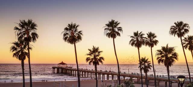 Ein Strand mit Palmen und einem Pier bei Sonnenuntergang