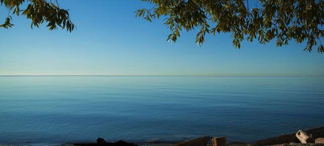 Ein Blick auf das Meer mit einem Baum im Vordergrund