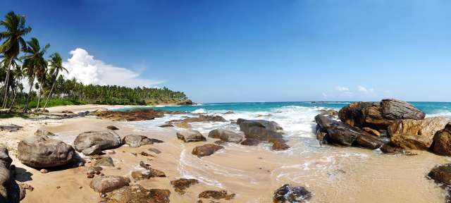 Ein Strand mit Felsen und Palmen an einem sonnigen Tag