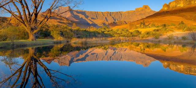 Ein See mit Bergen im Hintergrund und einem Baum im Vordergrund