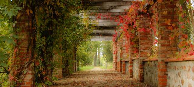 Gutshof in der Kurischen Schweiz, Reisefoto von – ©Barbara Harbecke, Umfulana Eine Pergola aus Backsteinen mit roten und grünen Blättern