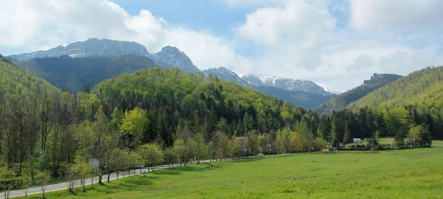 Tatra – Zakopane: Reisefoto von – ©Barbara Harbecke, Umfulana Eine Straße führt durch ein grünes Tal mit Bergen im Hintergrund