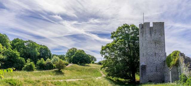 Ein Turm steht inmitten eines Feldes mit Bäumen