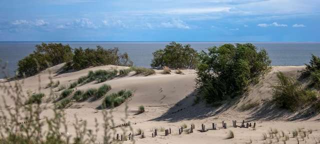 Ein sandiger Strand mit Bäumen und einem blauen Himmel im Hintergrund