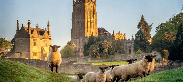 Chipping Campden in Gloucestershire Eine Herde Schafe steht auf einem Hügel mit einer Kirche im Hintergrund
