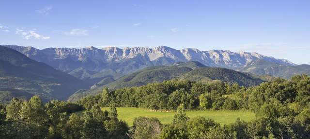 Ein grünes Feld mit Bäumen und Bergen im Hintergrund