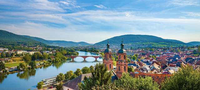 Miltenberg am Main Eine Stadt mit einem Fluss und einer Brücke dahinter
