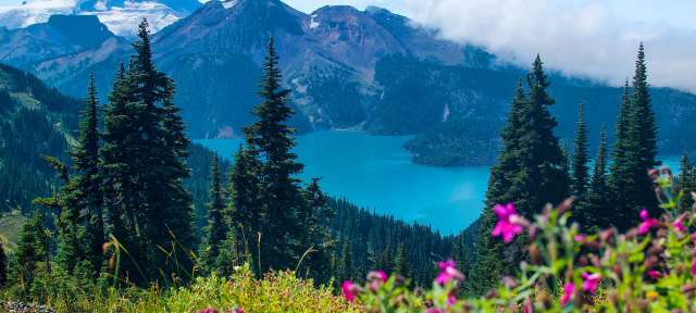 Ein See umgeben von Bergen und Bäumen mit rosa Blumen im Vordergrund