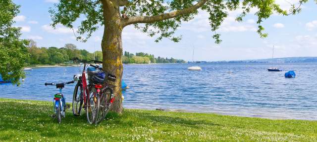 Pause am Ufer bei Radolfzell Zwei Fahrräder hängen an einem Baum in der Nähe eines Sees