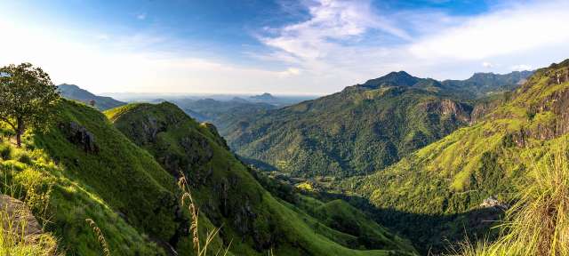 Ella - Hochland Ein Blick auf eine grüne Bergkette mit vielen Bäumen