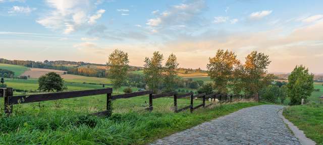 Grüne Ebene und historische Städte: Flandern Ein Feldweg mit einem Holzzaun an der Seite
