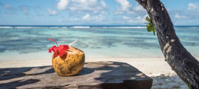 Heimisch in tropischen Gebieten: die Frucht der Kokospalme Eine Kokosnuss mit einer Blume darin sitzt auf einem Holztisch am Strand