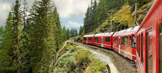 Ein roter Zug fährt durch einen Wald