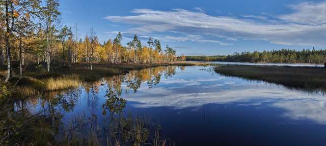 Ein See mit Bäumen im Hintergrund und einem blauen Himmel mit Wolken