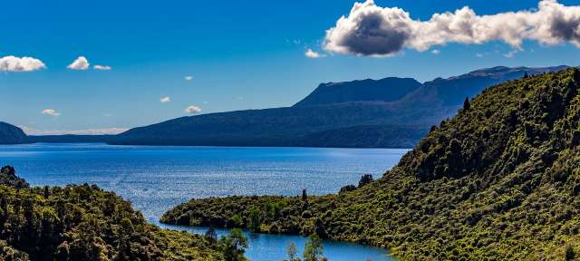 Wo das vulkanische Herz Neuseelands schlägt: Nordinsel Ein blauer See umgeben von Bäumen und Bergen