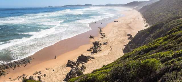 Ein Strand mit vielen Felsen und Bäumen an einem sonnigen Tag