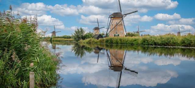 Windmühlen stehen an einem Fluss und spiegeln sich im Wasser