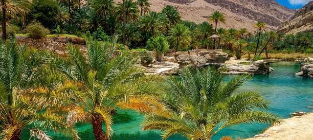 Desert Oasis Oman Palmen umgeben einen Teich mit Bergen im Hintergrund