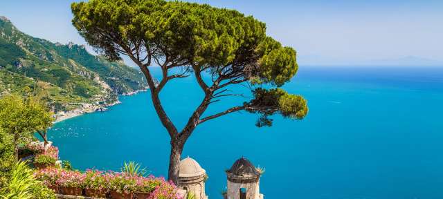 Blick auf die Amalfiküste Ein Blick auf das Meer mit einem Baum im Vordergrund
