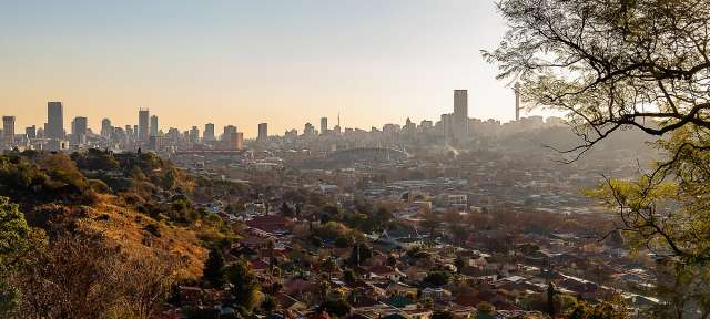 Südafrika: Johannesburg Eine Stadt mit vielen Gebäuden und Bäumen im Vordergrund
