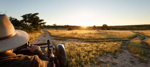 Blick vom Safari-Fahrzeug auf das Sabi Sands Game Reserve Ein Mann in einem Cowboyhut fährt auf einem Feldweg