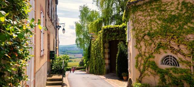 Champagne Eine Frau geht an einem sonnigen Tag eine schmale Straße hinunter