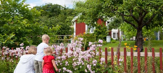 Eine Frau und zwei Kinder stehen in einem Garten und schauen auf Blumen