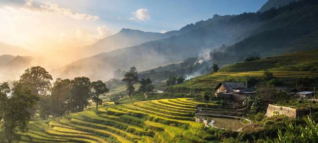 Reisfelder bei Sonnenuntergang: Sapa