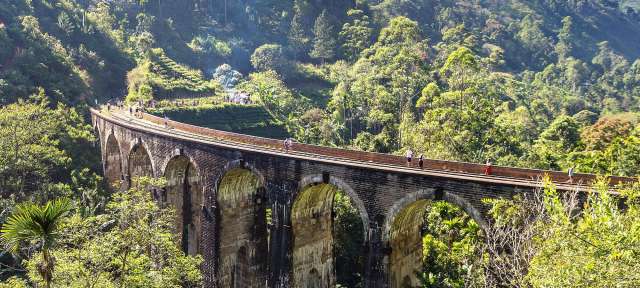 Sri Lanka: Bogenbrücke in Nuwara Eliya Menschen gehen auf einer Brücke inmitten eines Waldes