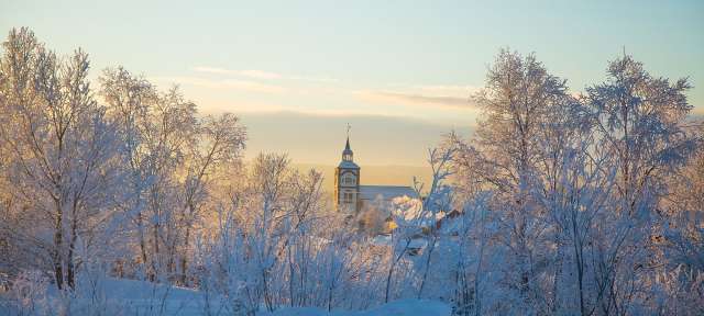 Ein schneebedeckter Wald mit einer Kirche im Hintergrund