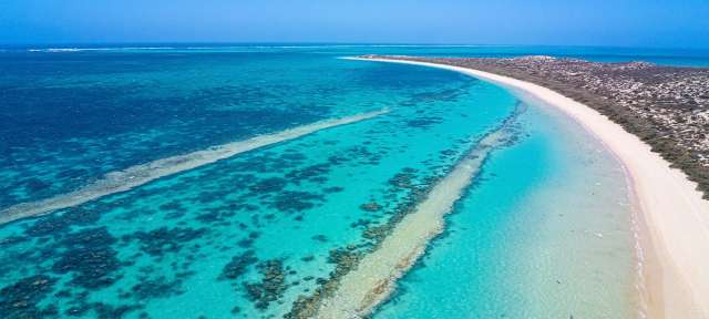 Ningaloo Reef Ein weißer Strand inmitten eines türkisfarbenen Ozeans