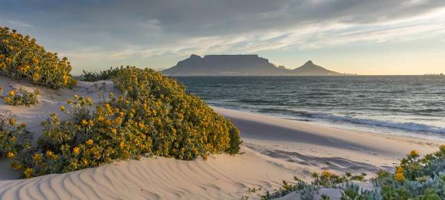 Ein sandiger Strand mit einem Berg im Hintergrund